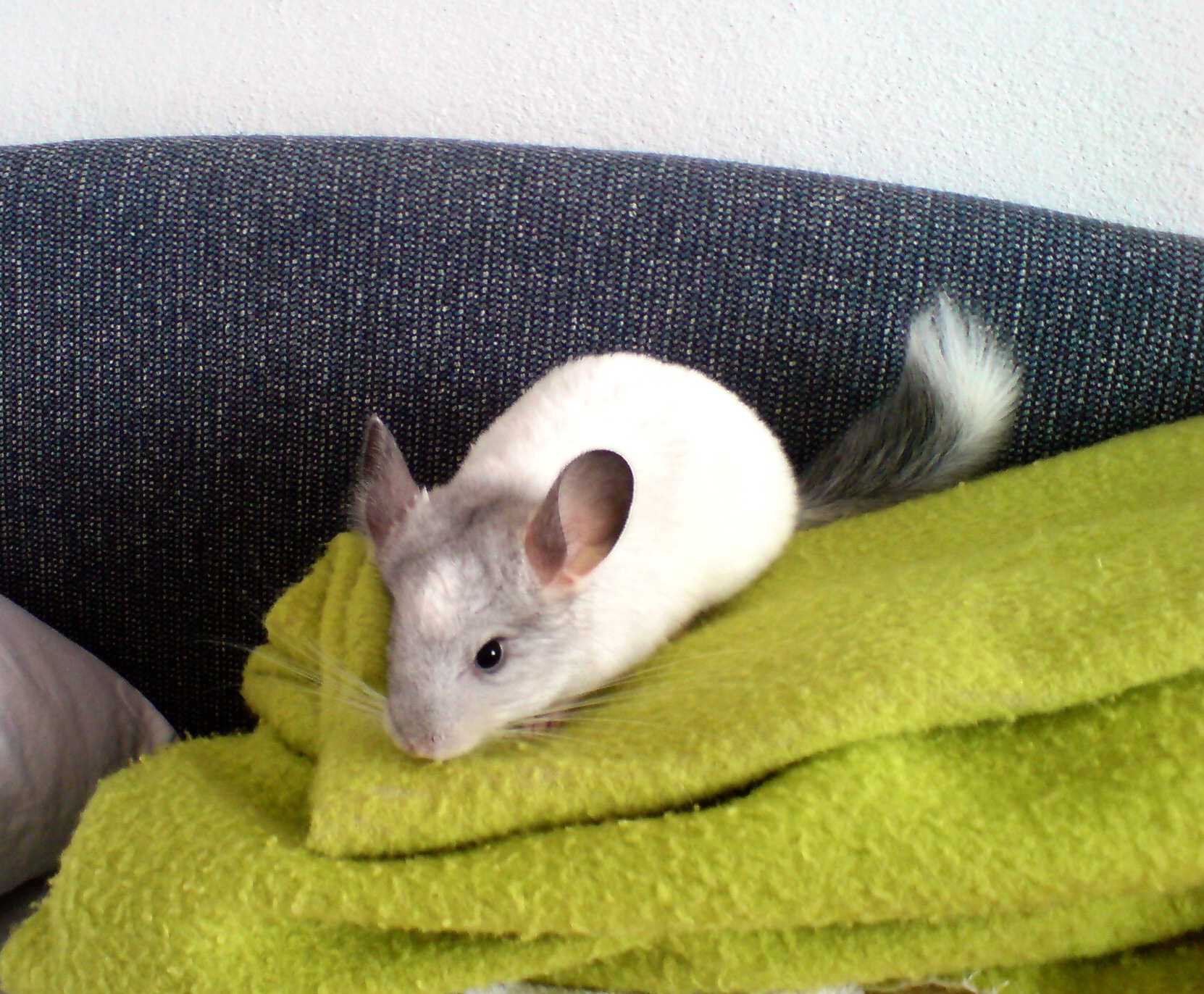 DSC01266.jpg